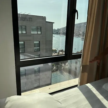 Dajana ساراندا